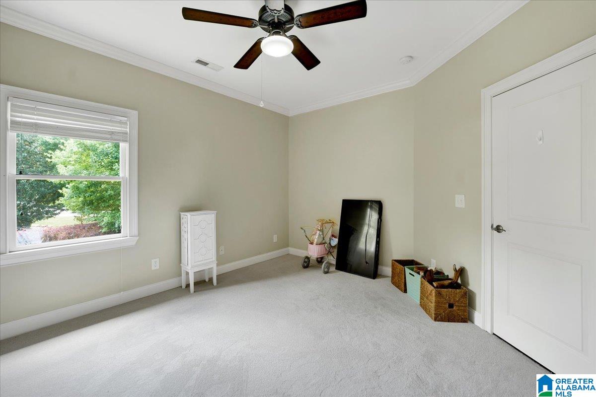 912 Trinity Court Hoover, AL 35242 - Photo 39 of 51