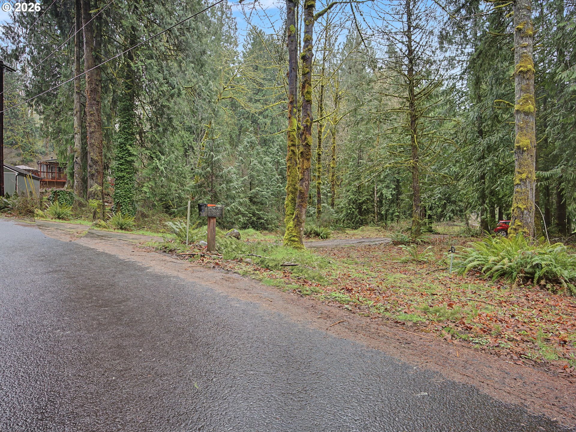 41180 Southeast Kubitz Road Sandy, OR 97055 - Photo 28 of 35 a view of a forest with trees