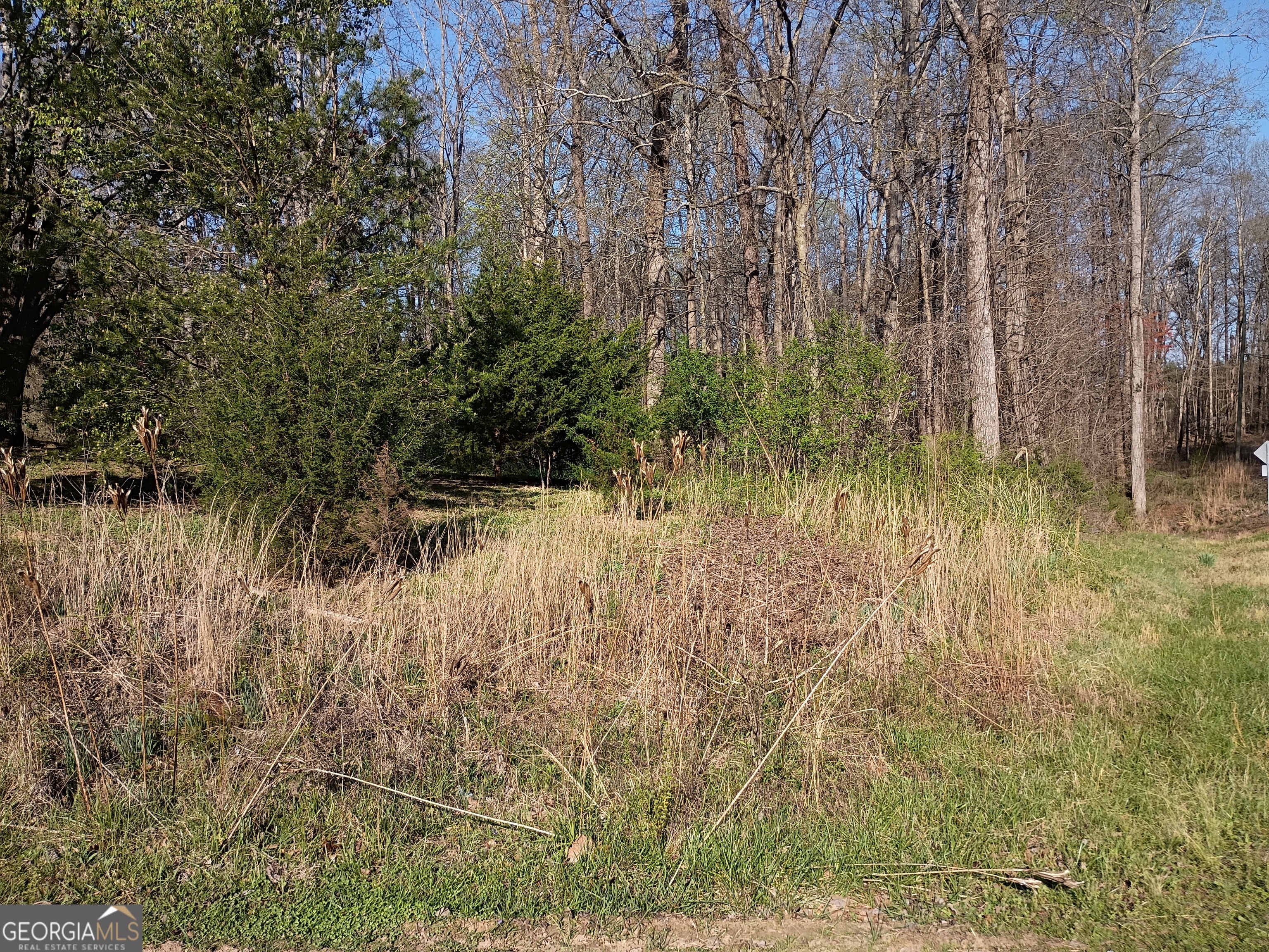 1413 Whiting Road Lavonia, GA 30553 - Photo 45 of 74