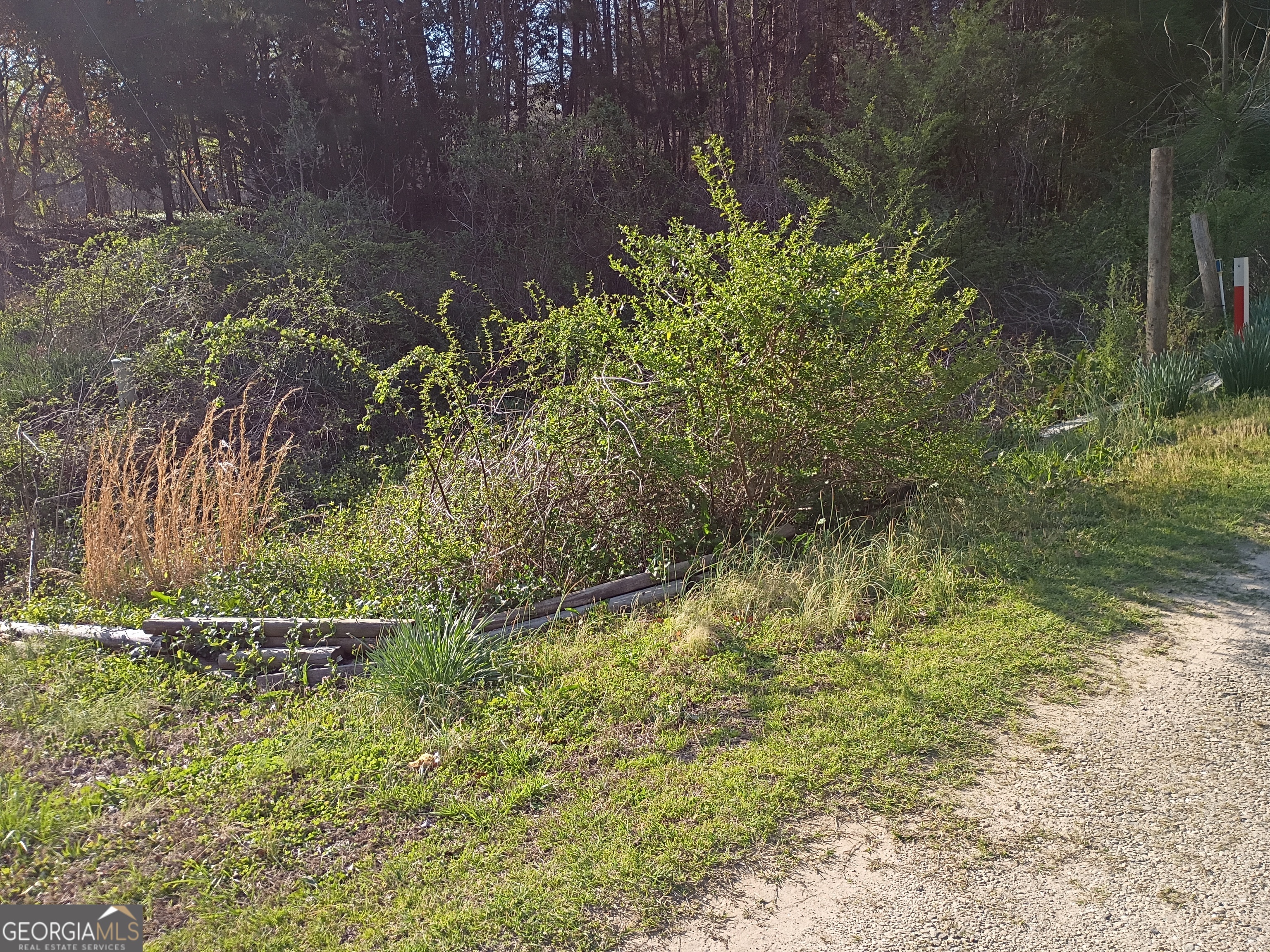 1413 Whiting Road Lavonia, GA 30553 - Photo 49 of 74