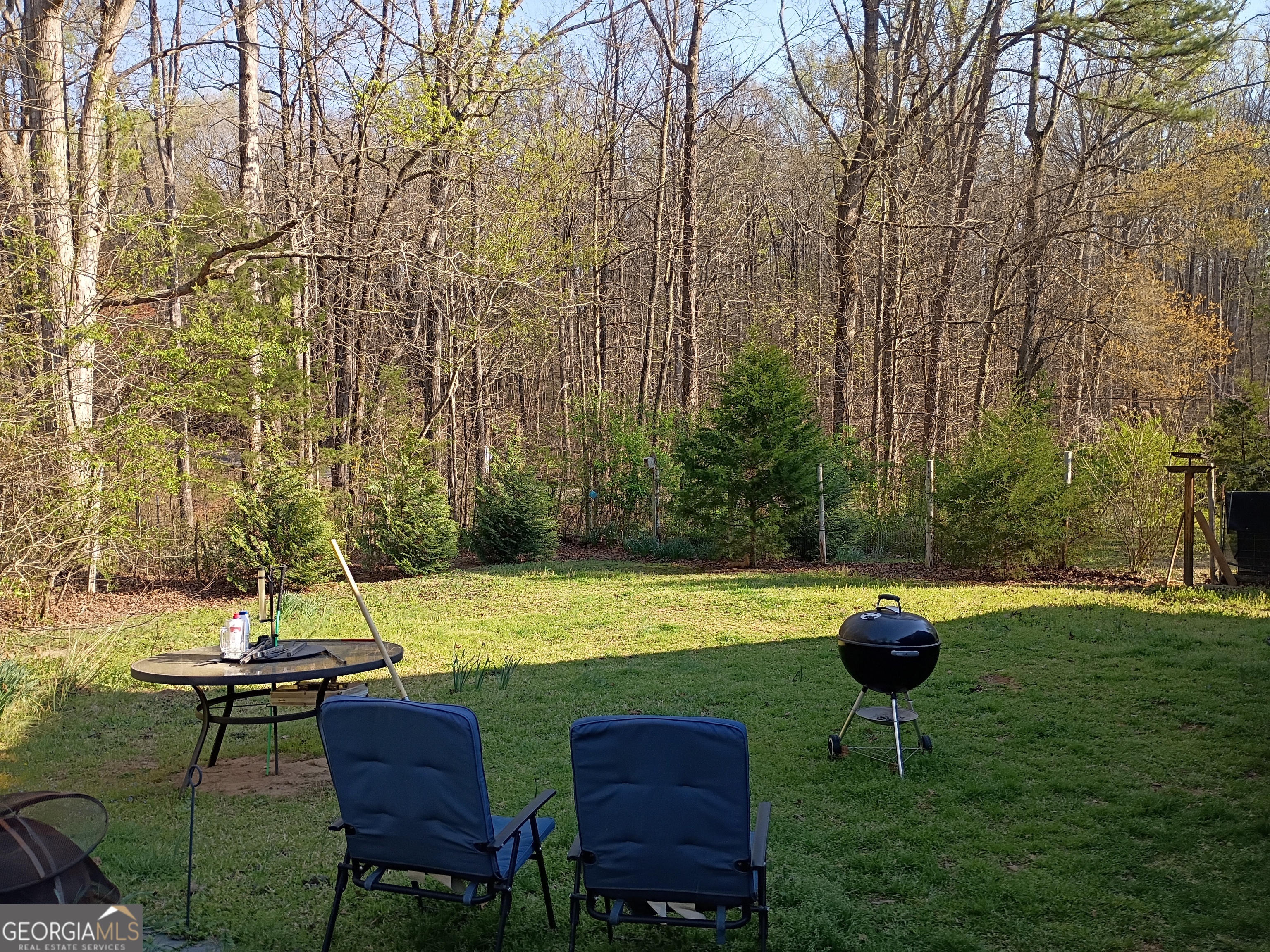 1413 Whiting Road Lavonia, GA 30553 - Photo 8 of 74 Open, usable space surrounded by trees, ideal for relaxing and entertaining.