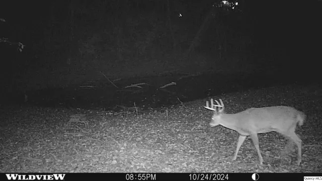 a view of a livingroom with furniture and wooden floor