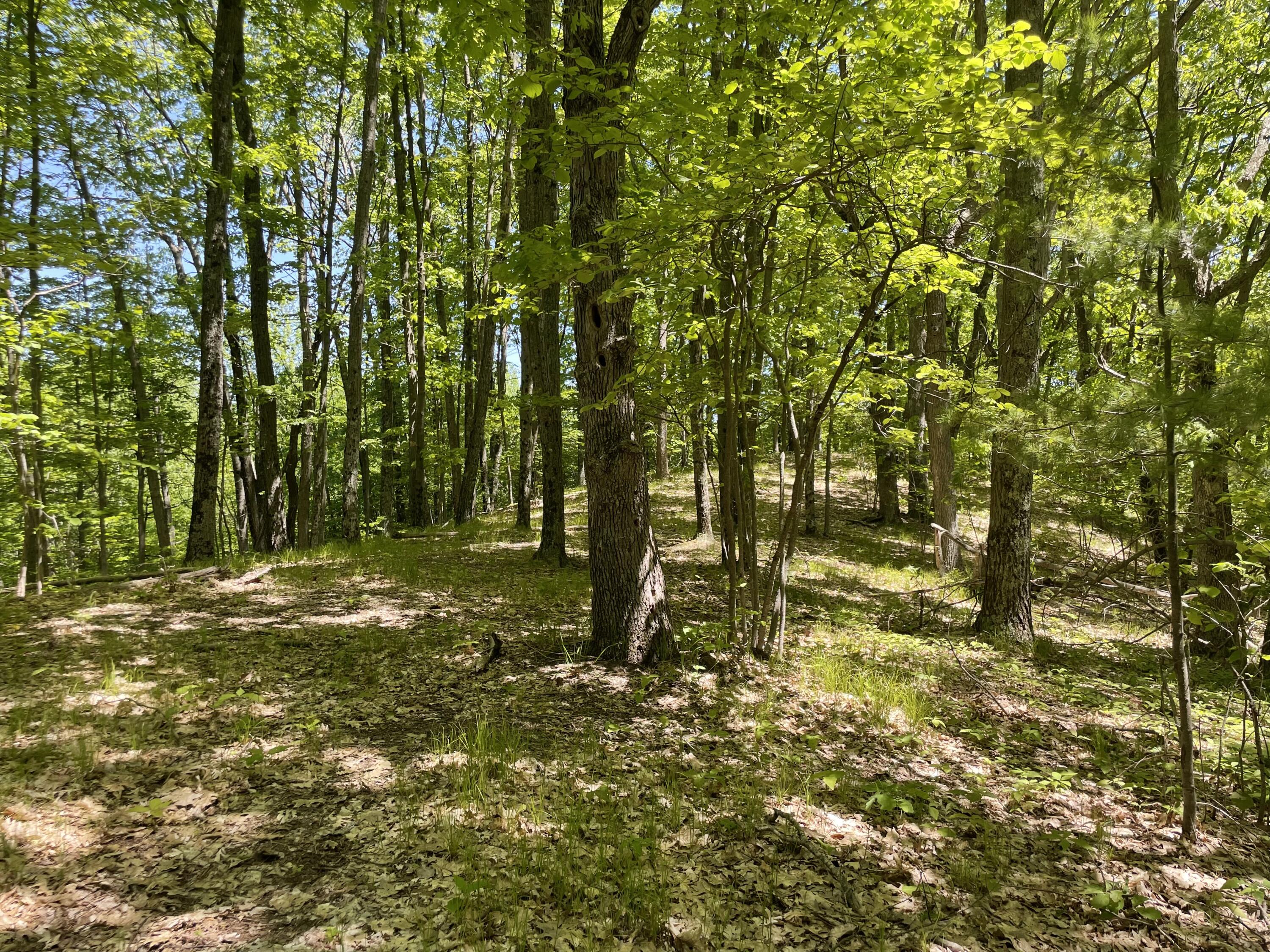 10 East Mile Road Luther, MI 49656 - Photo 21 of 40 IMG_0776