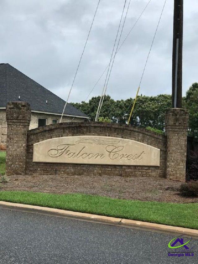 Lot 9 Peregrine Road Byron, GA 31008 - Photo 1 of 1