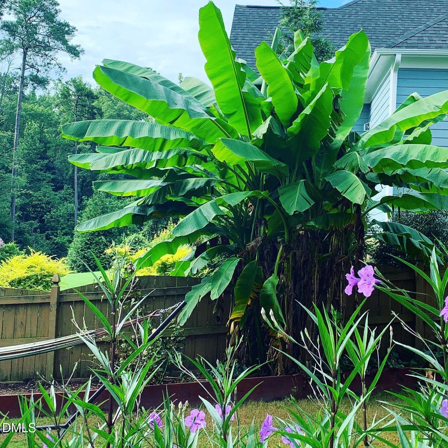 4603 Brighton Ridge Drive Apex, NC 27539 - Photo 51 of 69 IMG_8830