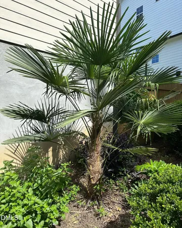 $980,000 | 4603 Brighton Ridge Drive, Apex, NC 27539