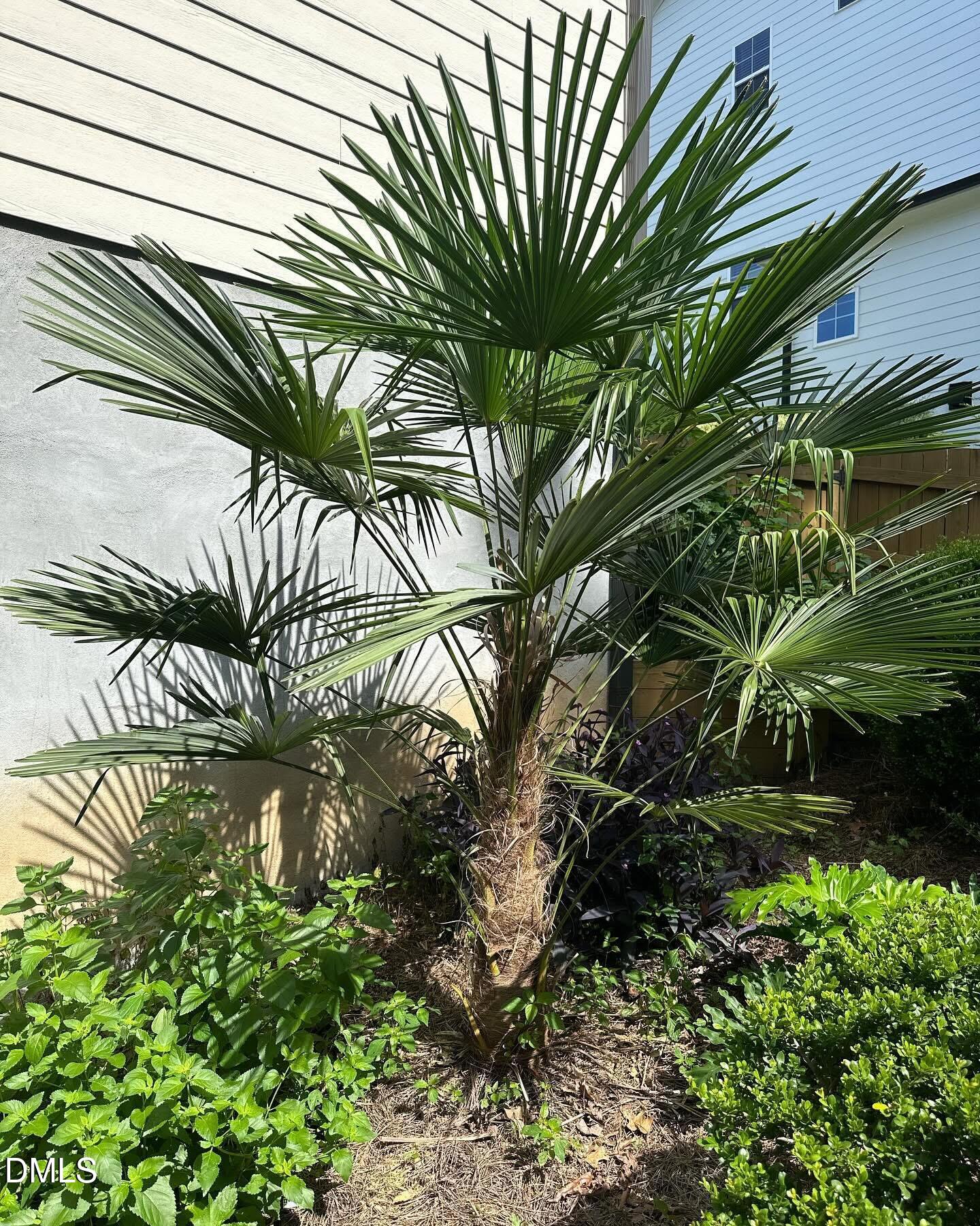 4603 Brighton Ridge Drive Apex, NC 27539 - Photo 54 of 69 IMG_8828