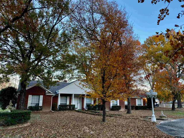 front view of a house with a tree