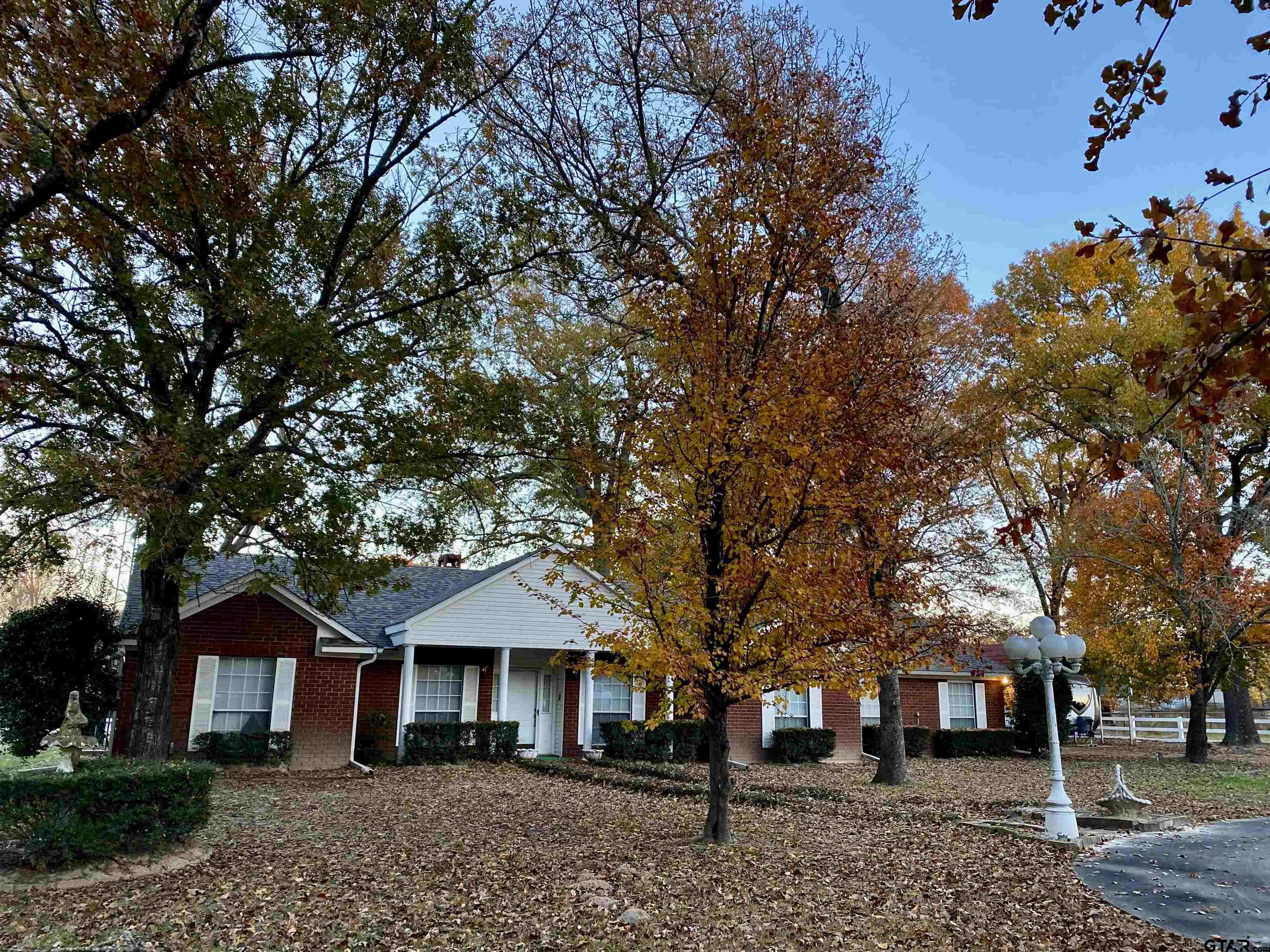 front view of a house with a tree