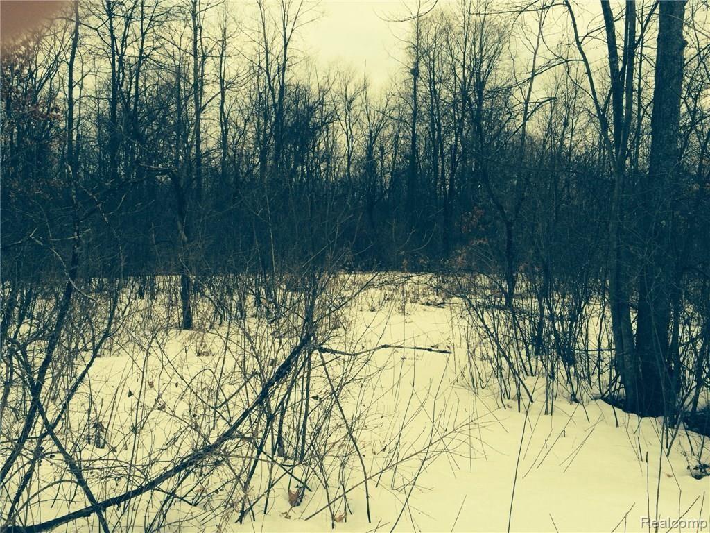 0 Gregory Road Lake Orion, MI 48359 - Photo 4 of 19 image.jpg