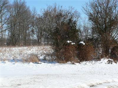 1224 West Chicago Road Bronson, MI 49028 - Photo 15 of 24 Additional Photo