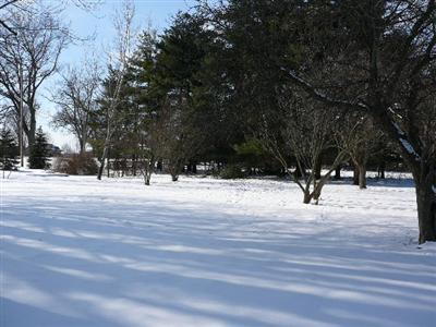 1224 West Chicago Road Bronson, MI 49028 - Photo 19 of 24 Additional Photo