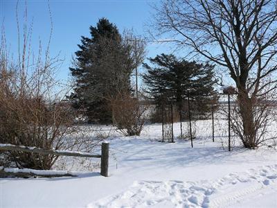 1224 West Chicago Road Bronson, MI 49028 - Photo 22 of 24 Additional Photo