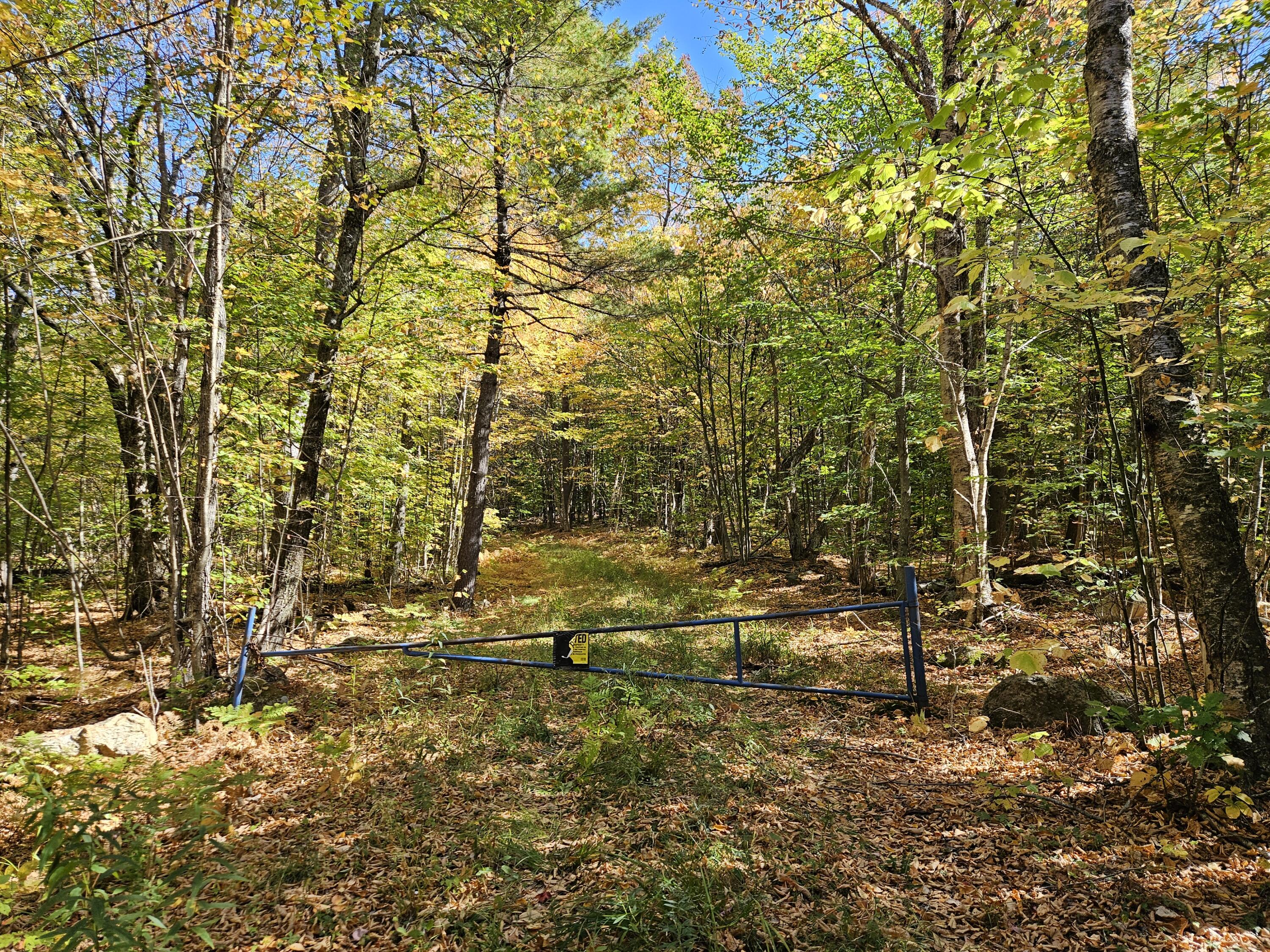0 Canton Mountain Road Canton, ME 04221 - Photo 63 of 93