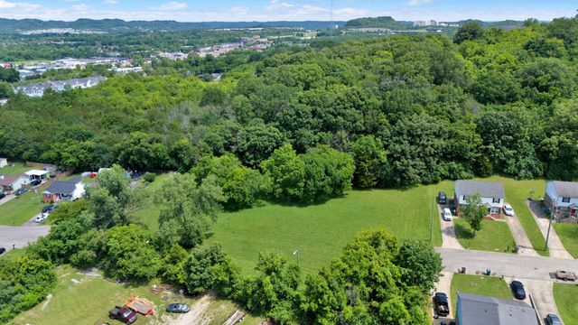 an aerial view of green landscape with trees houses and mountain view