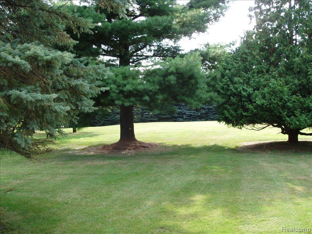 471 North Livernois Road Rochester, MI 48309 - Photo 9 of 22 1 1/4 acre lot