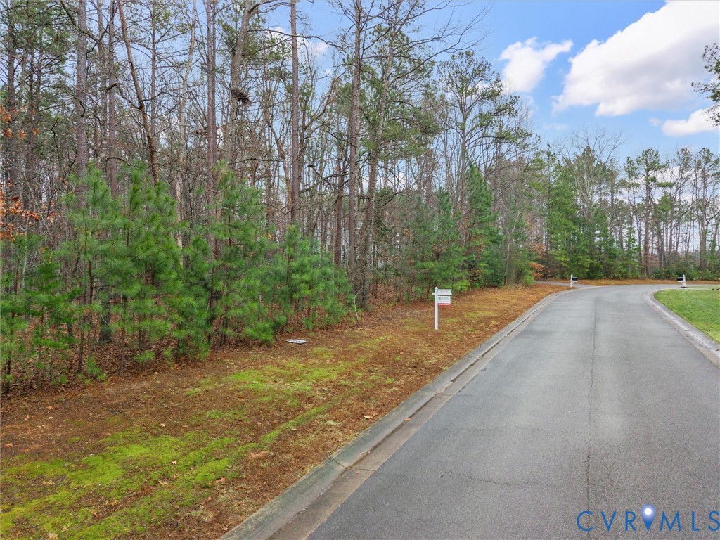 3078 Braehead Road Powhatan, VA 23139 - Photo 3 of 18 Gallery Image 3