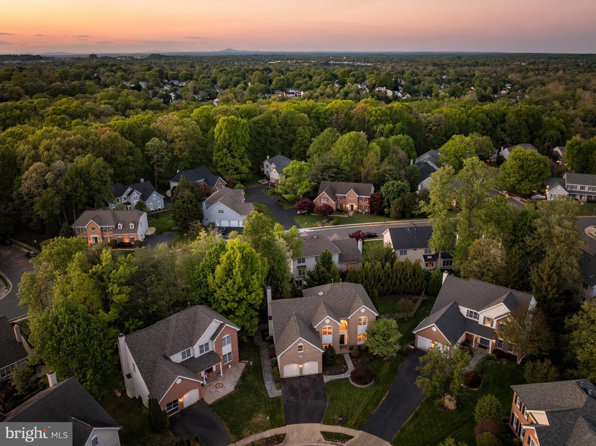 12537 Ridgegate Drive Herndon, VA 20170 - Photo 79 of 80 an aerial view of a house with outdoor space