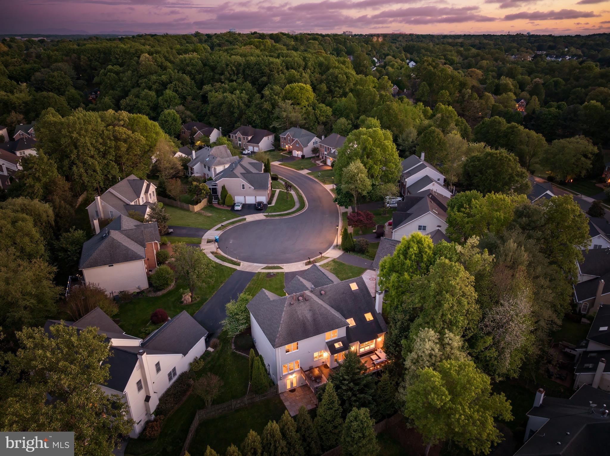 12537 Ridgegate Drive Herndon, VA 20170 - Photo 80 of 80 an aerial view of a house with outdoor space