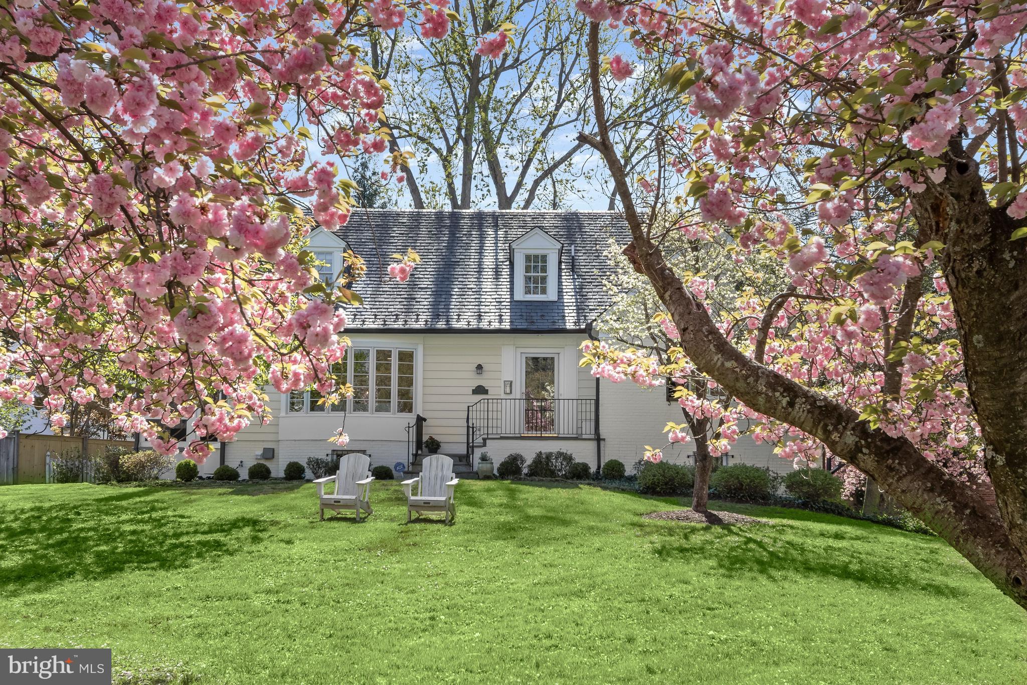 5120 Upton Street Northwest Washington, DC 20016 - Photo 52 of 53 a backyard of a house with plants and large tree