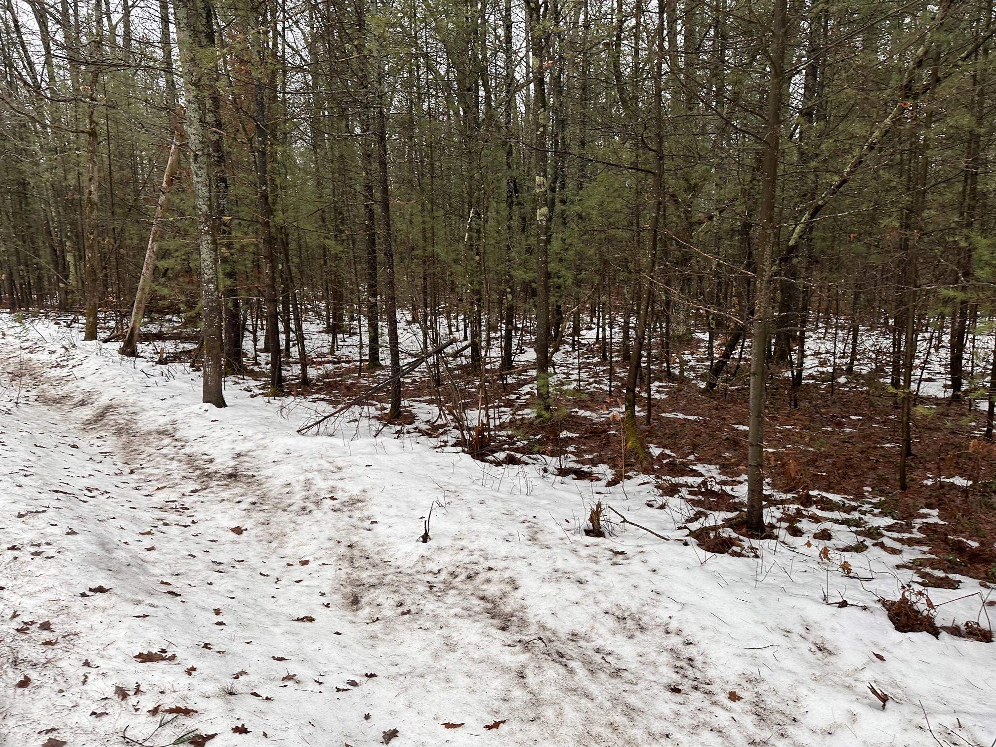 B Albrecht Road Interlochen, MI 49643 - Photo 1 of 6