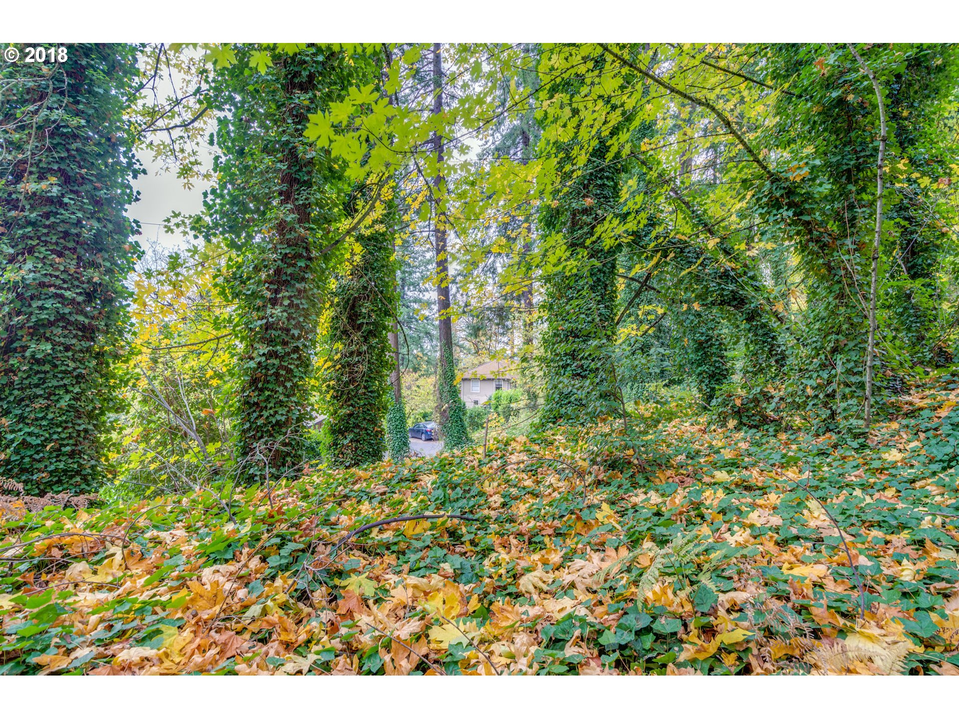 0 Elk Rock Road Lake Oswego, OR 97034 - Photo 15 of 18 Gallery Image 15