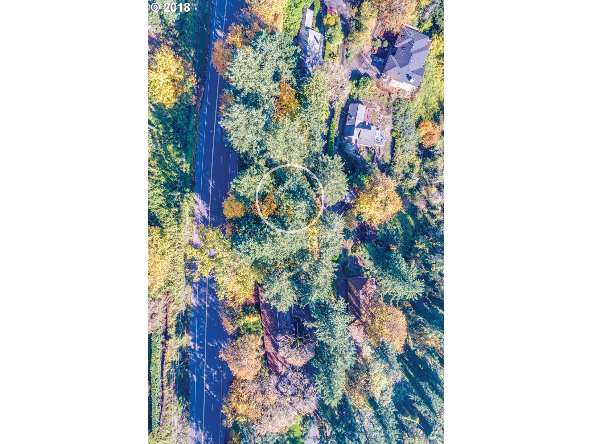 0 Elk Rock Road Lake Oswego, OR 97034 - Photo 4 of 18 Gallery Image 4