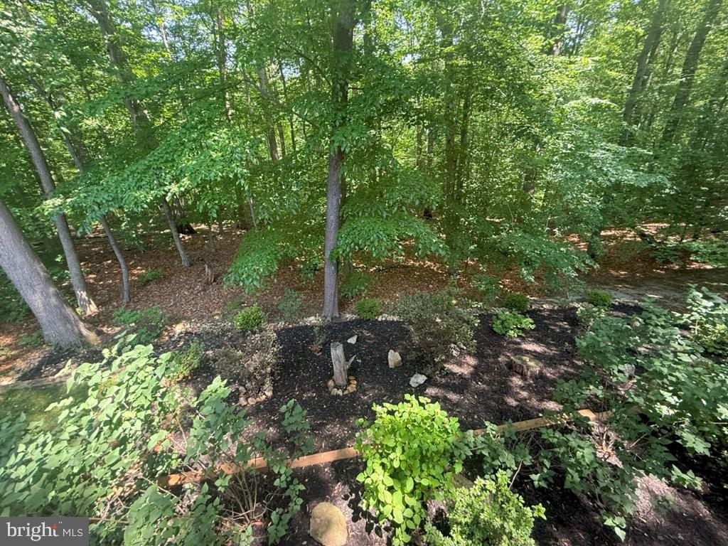 7801 Cliffside Court Springfield, VA 22153 - Photo 34 of 71 a backyard of a house with lots of green space and garden