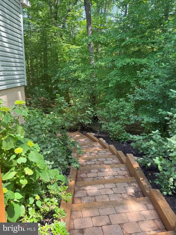 7801 Cliffside Court Springfield, VA 22153 - Photo 69 of 71 a view of a pathway both side of yard