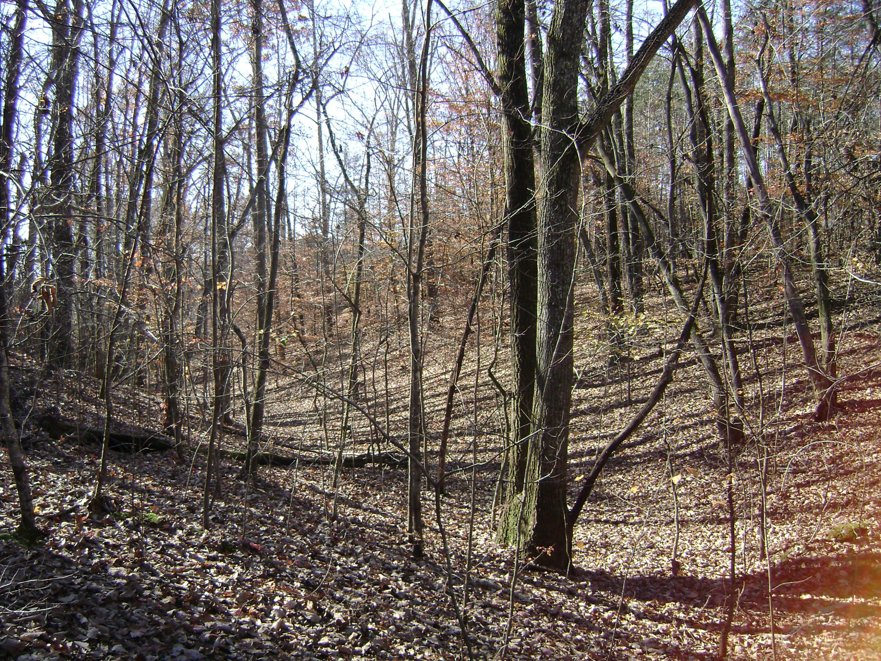 Back Valley Road Dayton, TN 37321 - Photo 2 of 4 Wyatt_#2_small cove
