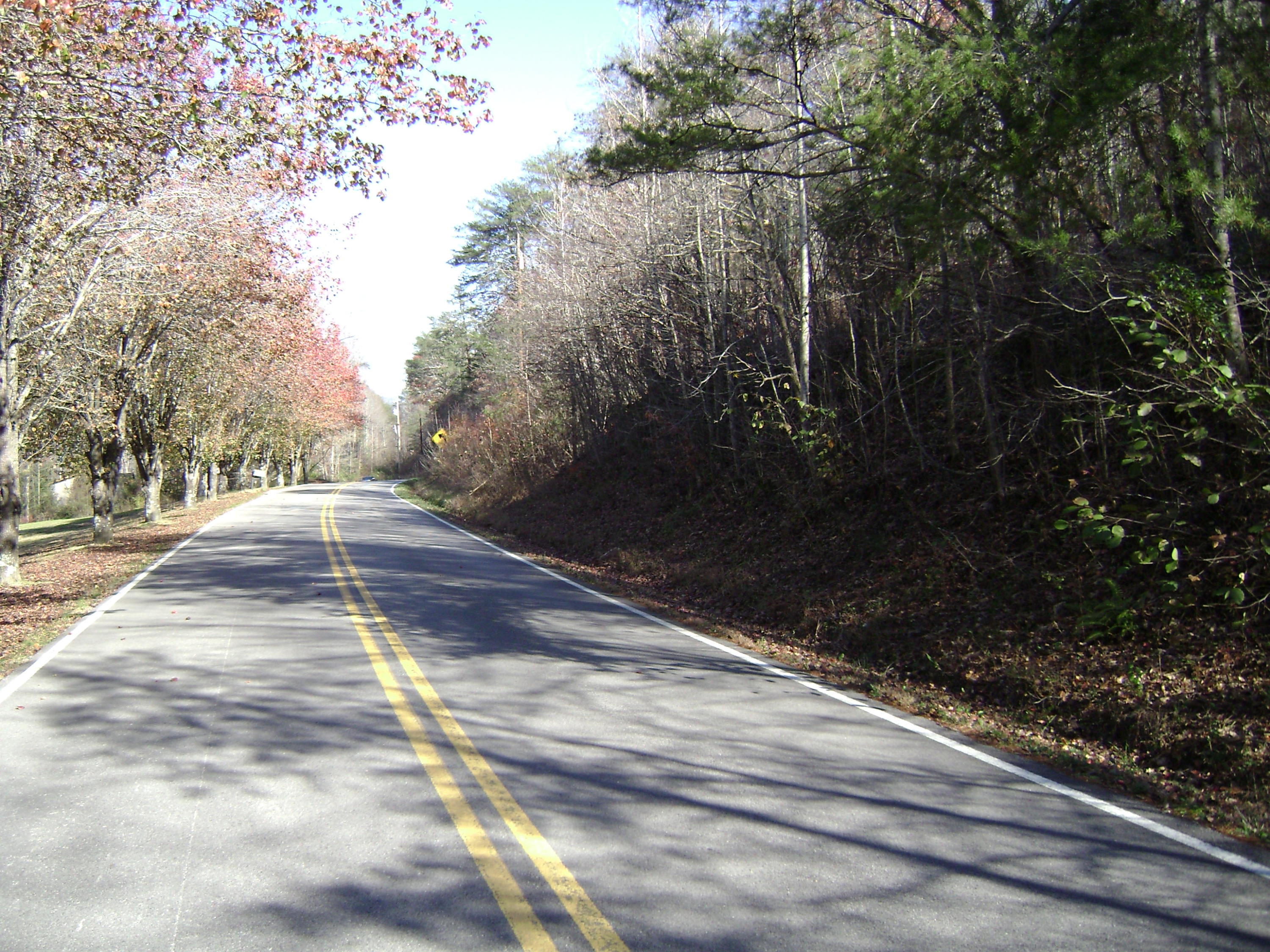 Back Valley Road Dayton, TN 37321 - Photo 3 of 4 Wyatt_#3_Back Valley RD