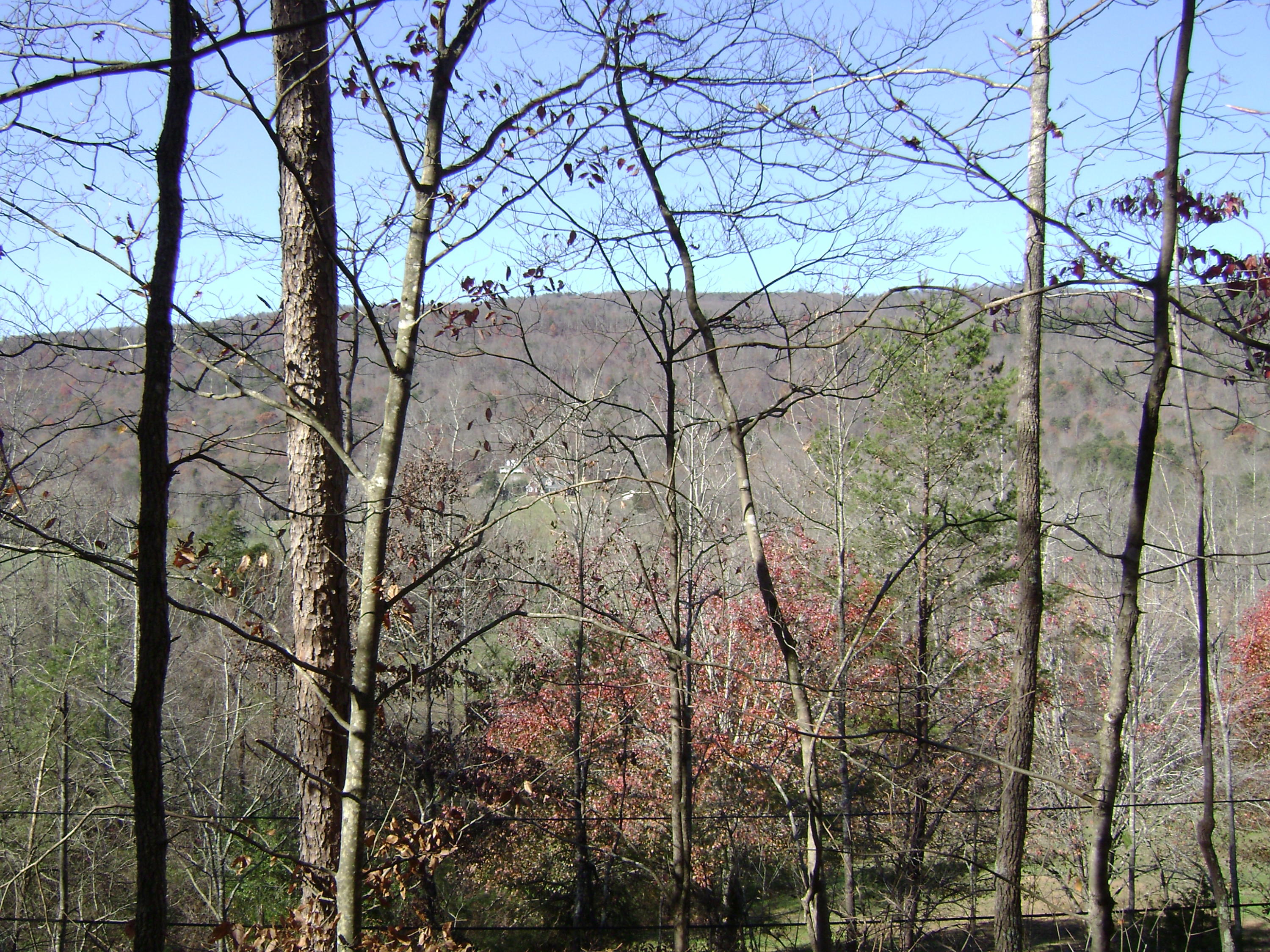Back Valley Road Dayton, TN 37321 - Photo 4 of 4 Wyatt_#4_view from above road