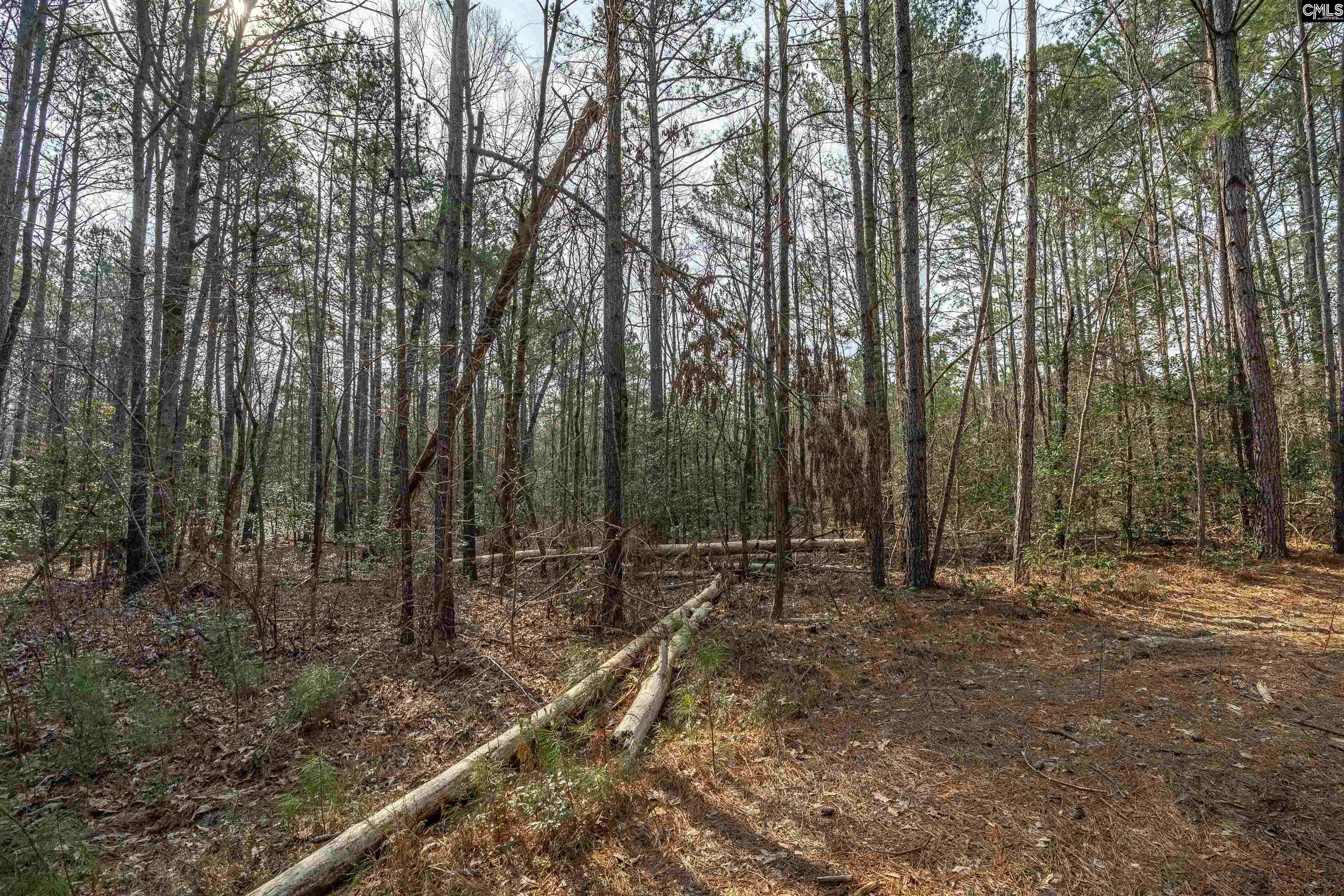 2070 Hwy Church Road Elgin, SC 29045 - Photo 13 of 14