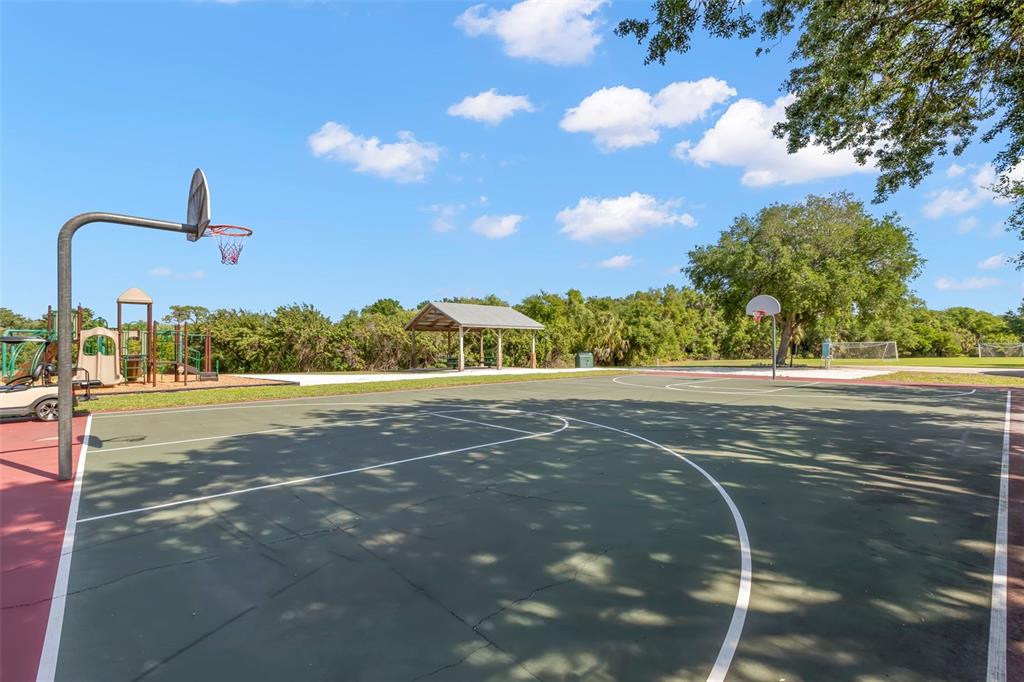 3710 Twin Rivers Trail Parrish, FL 34219 - Photo 74 of 77