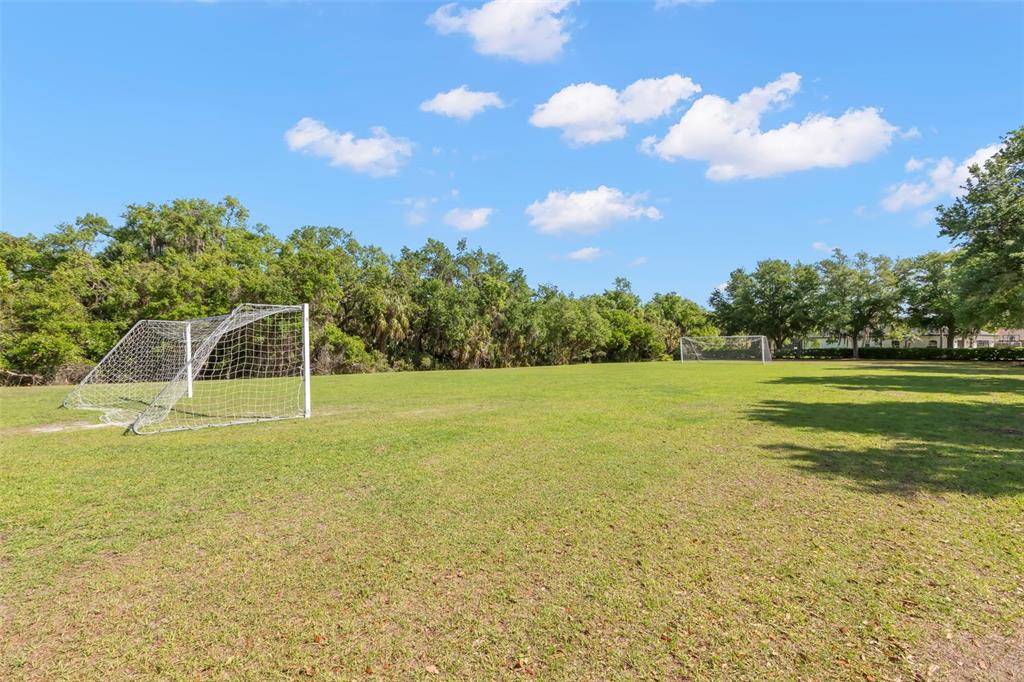 3710 Twin Rivers Trail Parrish, FL 34219 - Photo 77 of 77