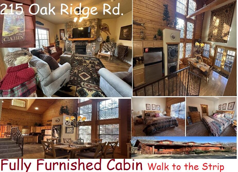 215 Oakridge Road Branson, MO 65616 - Photo 1 of 1 CAbin