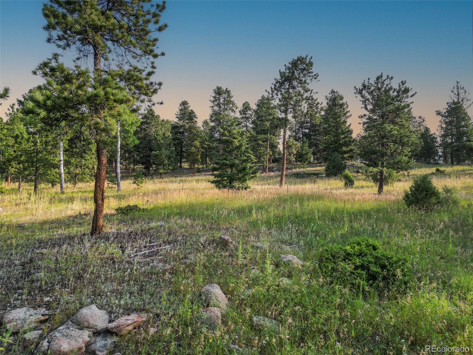 26545 Richmond Hill Road Conifer, CO 80433 - Photo 6 of 33
