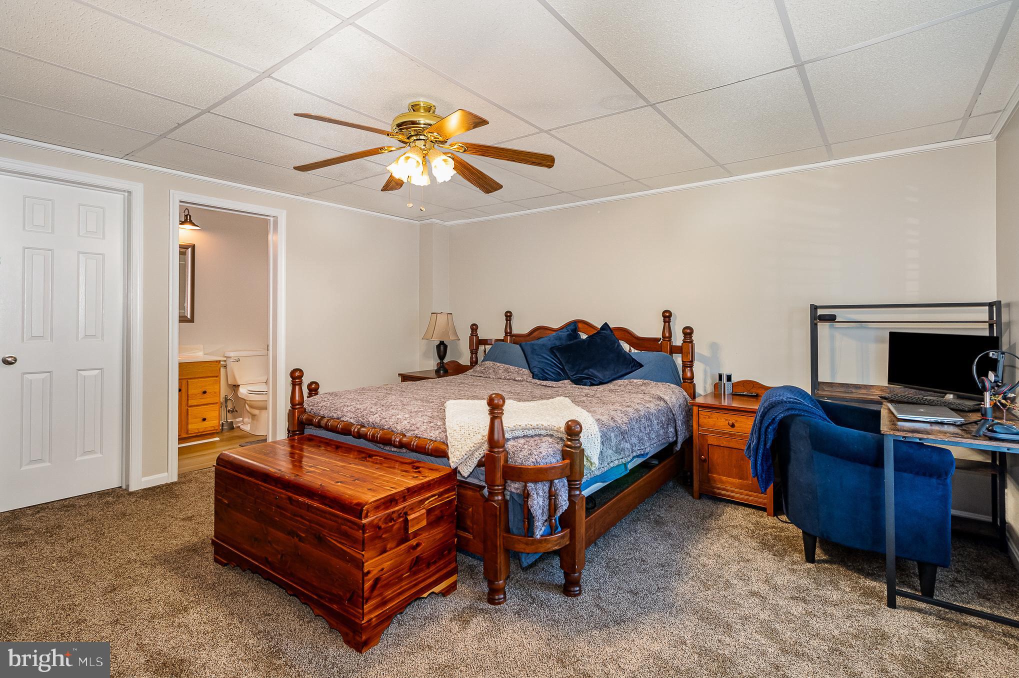 411 Springbrook Drive Palmyra, PA 17078 - Photo 33 of 59 Lower-Level Primary Suite