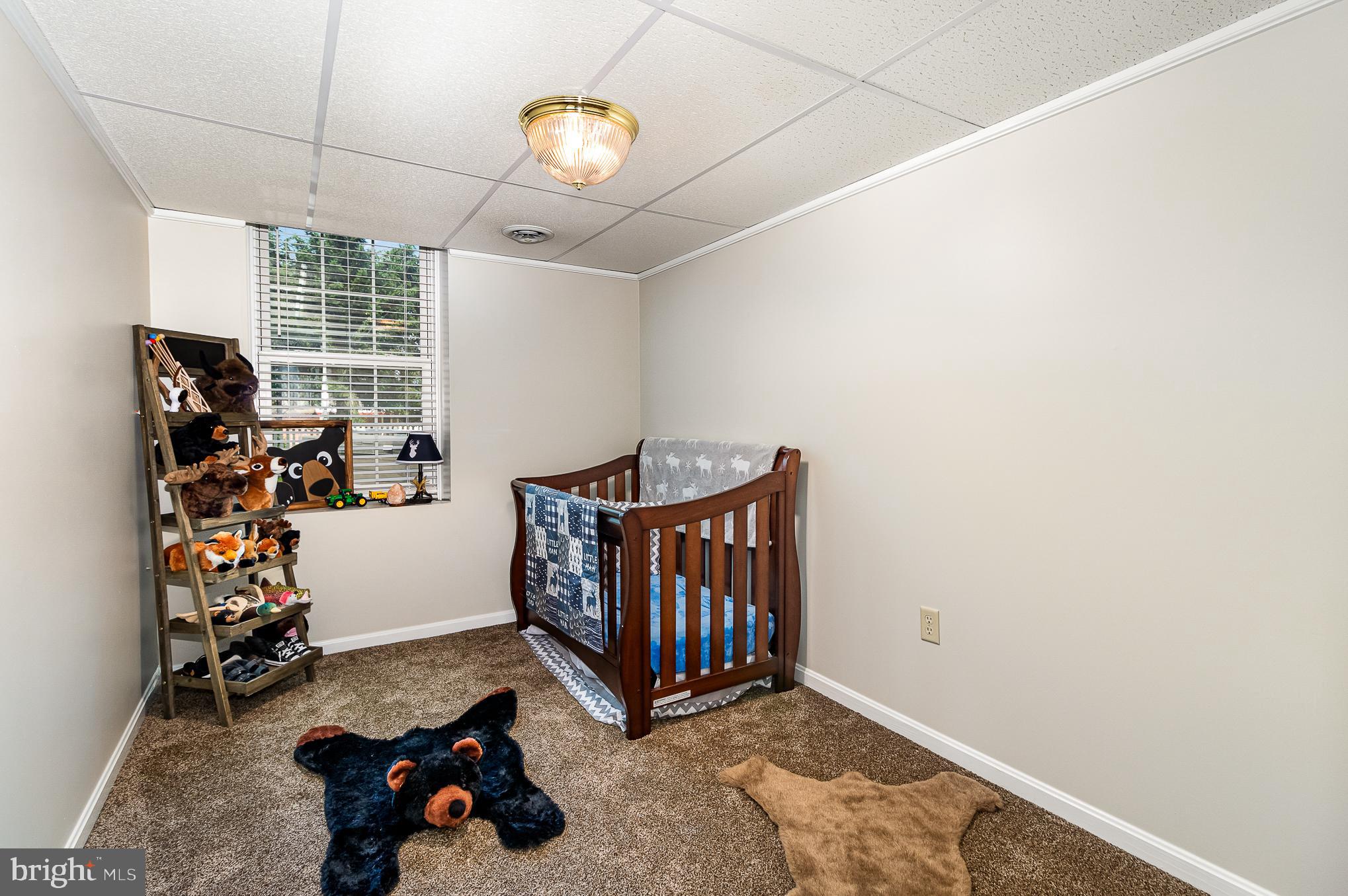 411 Springbrook Drive Palmyra, PA 17078 - Photo 39 of 59 Lower-Level Bedroom