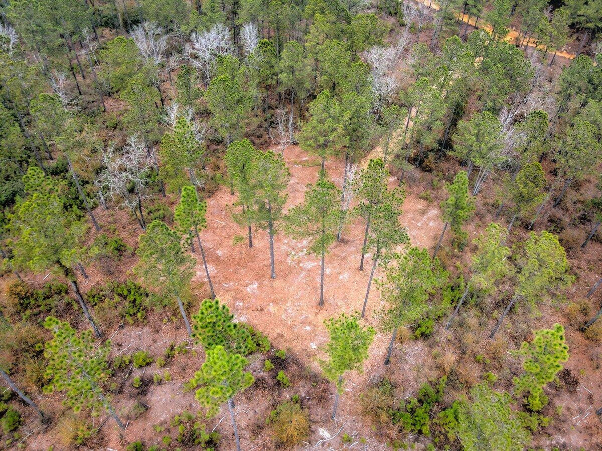 0 Deer Run Road, Unit F2 Williston, SC 29853 - Photo 15 of 24 Gallery Image 15