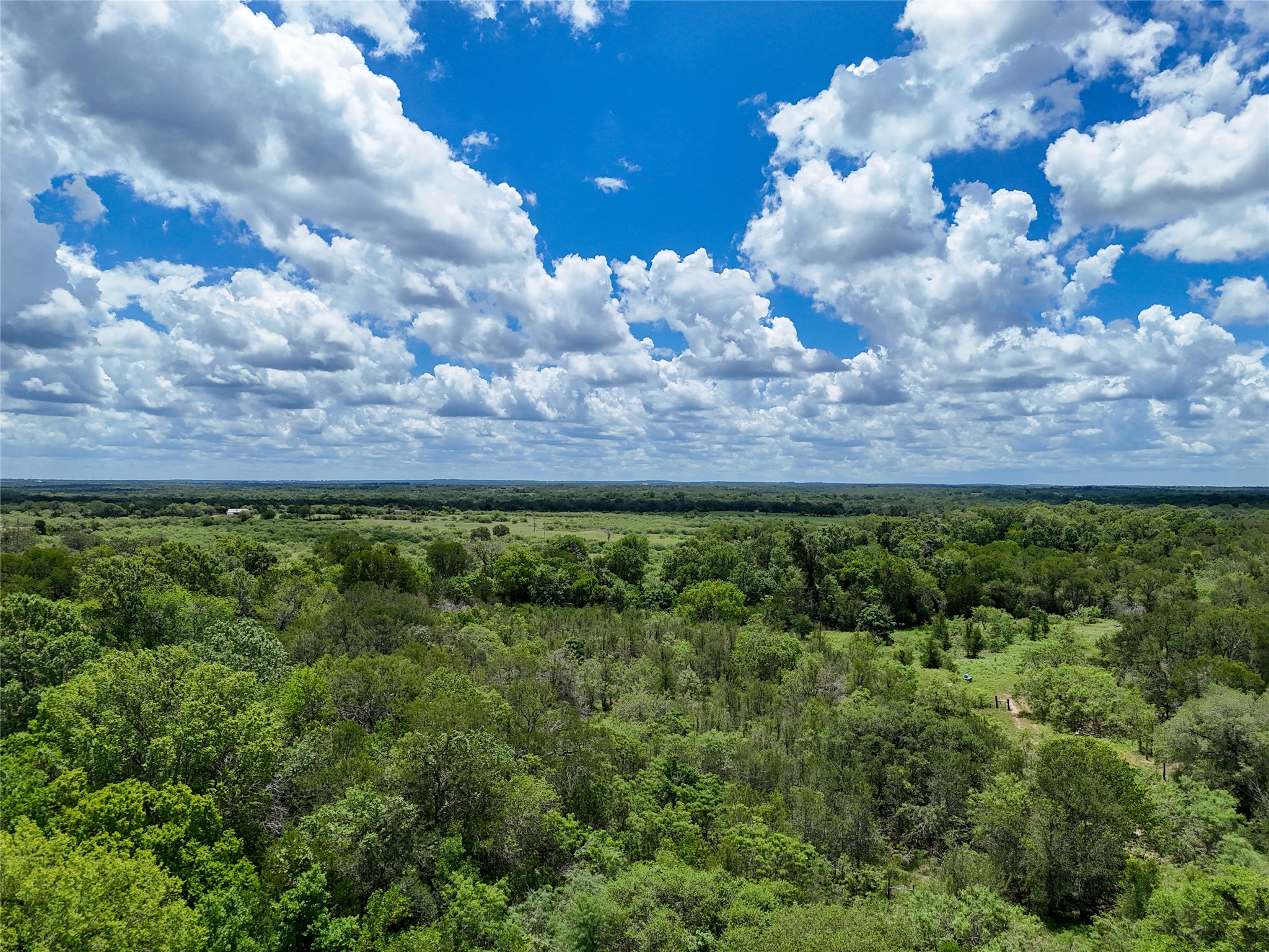689 Chamberlin Road Dale, TX 78616 - Photo 1 of 1 Drone / aerial view of a heavily wooded area