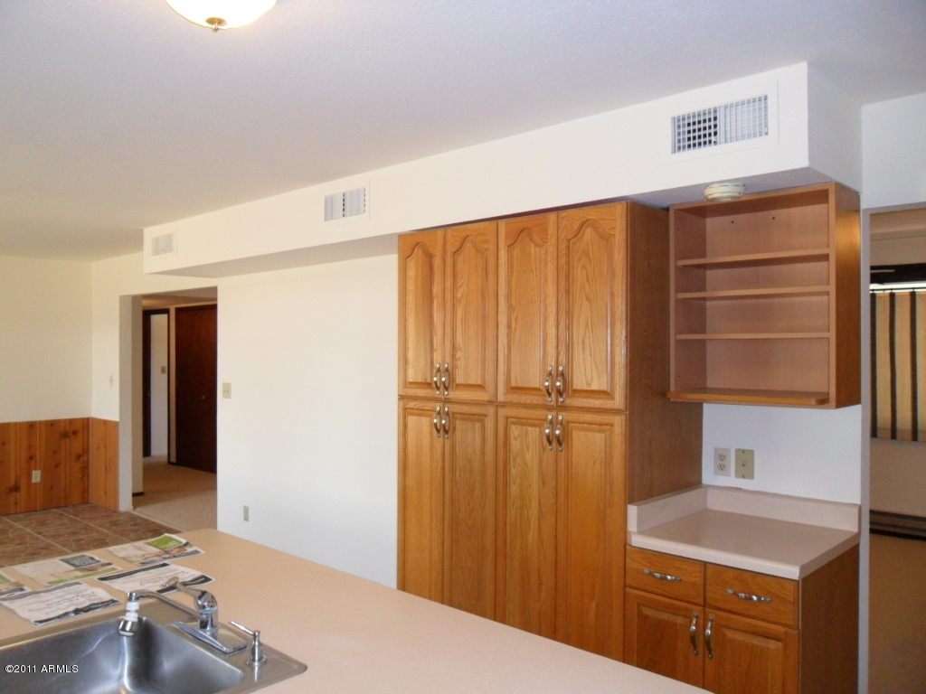 3854 East Vineyard Road Phoenix, AZ 85042 - Photo 41 of 54 SAM_1259