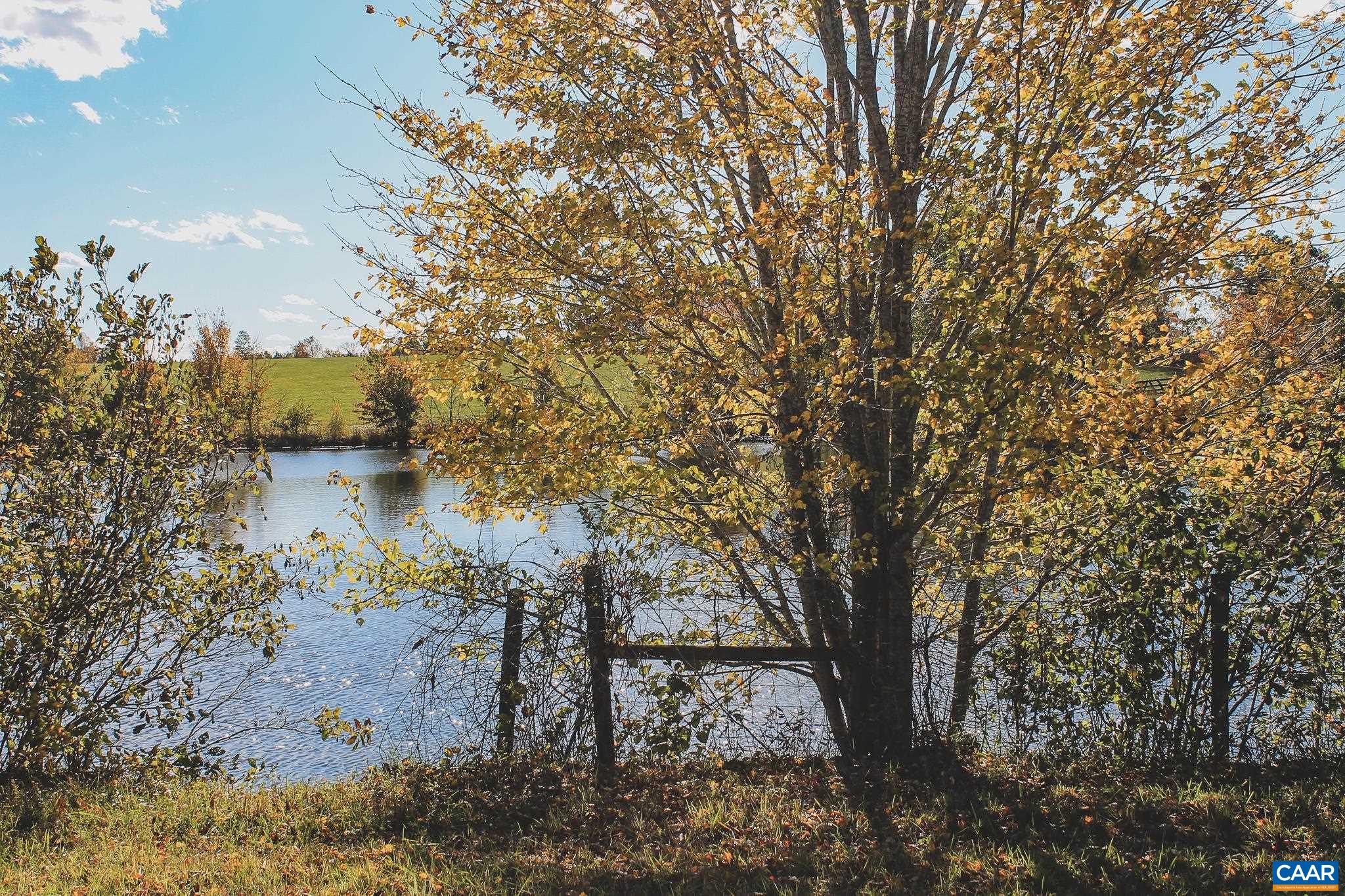 Lot 20 Rolling Road Scottsville, VA 24590 - Photo 19 of 28 a view of a yard with a tree