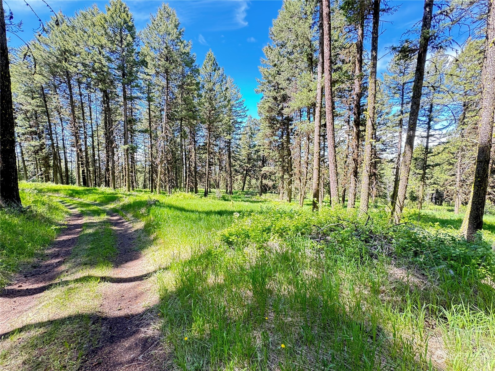 0 Janet Marie Road Oroville, WA 98844 - Photo 22 of 34 Gallery Image 22