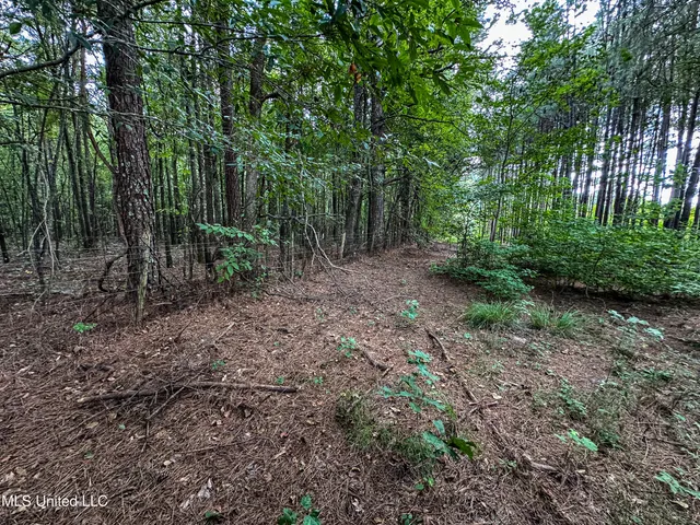 $189,225 | 1 Hwy 46 West Point, Cedarbluff, MS 39741