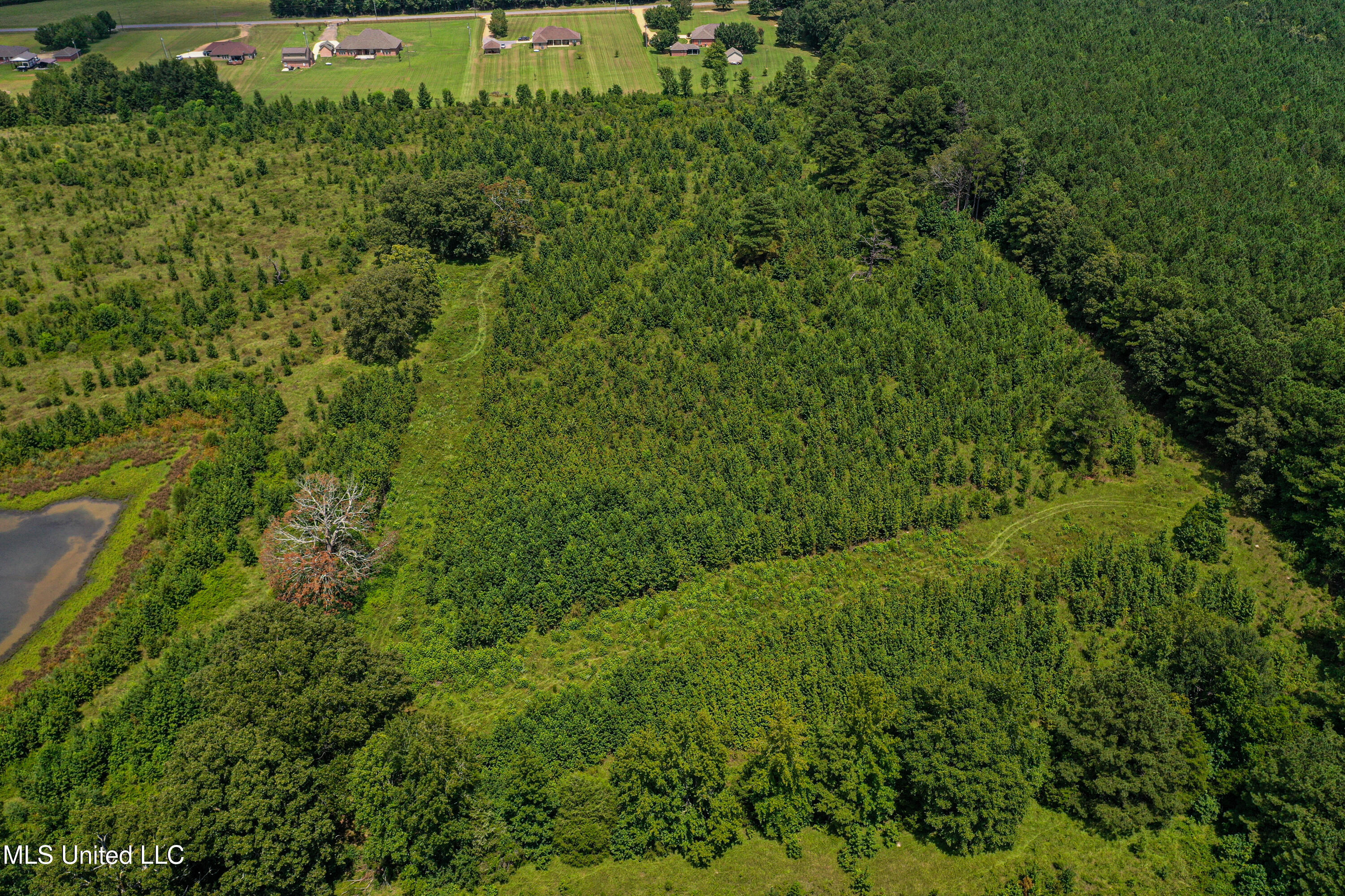1 Hwy 46 West Point Cedarbluff, MS 39741 - Photo 12 of 35 DJI_0385