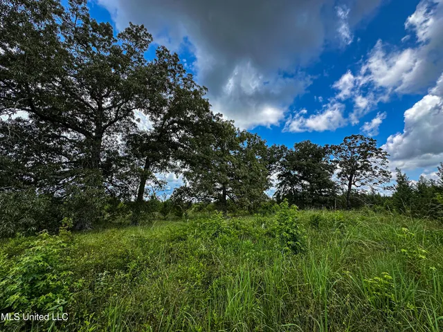 $189,225 | 1 Hwy 46 West Point, Cedarbluff, MS 39741