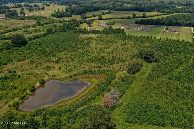 $189,225 | 1 Hwy 46 West Point, Cedarbluff, MS 39741