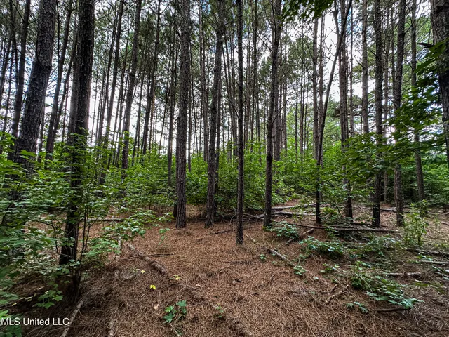 $189,225 | 1 Hwy 46 West Point, Cedarbluff, MS 39741