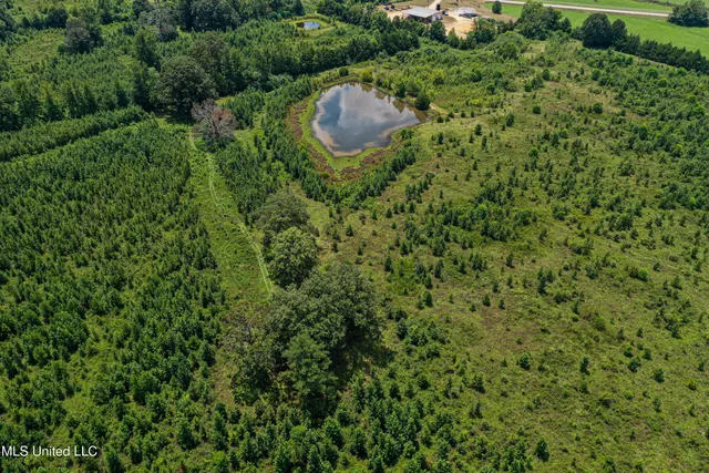 $189,225 | 1 Hwy 46 West Point, Cedarbluff, MS 39741